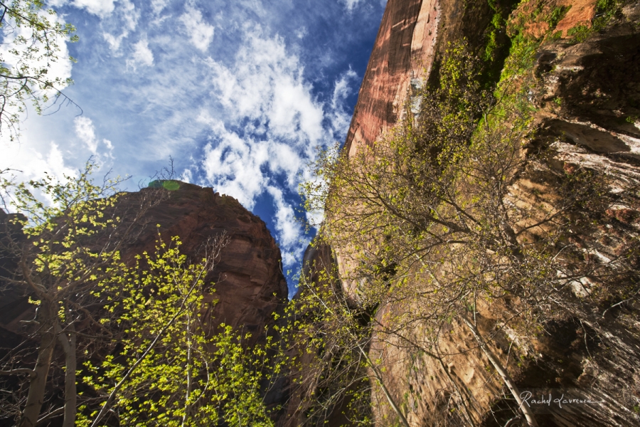 Zion cascade 3.jpg