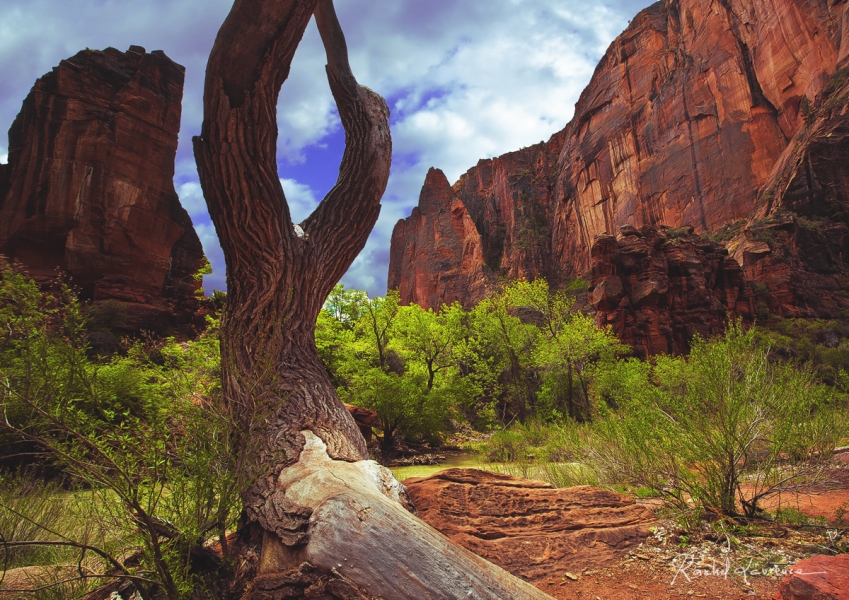 Zion canyon 1.jpg